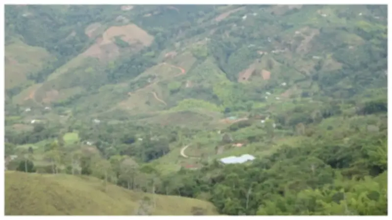 Tres personas asesinadas en predio invadido de Yotoco, Valle del Cauca