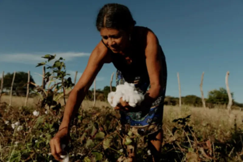 VEJA presenta documental sobre su cadena productiva en Brasil