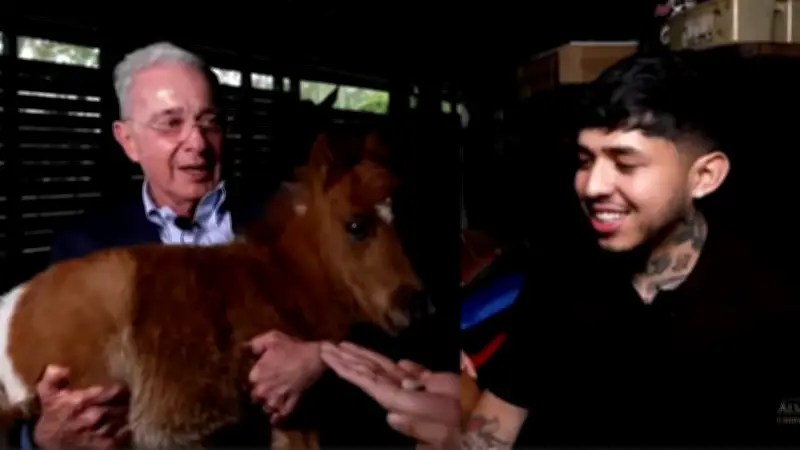 Westcol entrevista a Uribe: regalo de pony y preguntas sobre falsos positivos