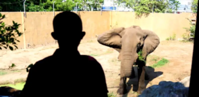 Zoológico de Barranquilla recibe acreditación internacional hasta 2031