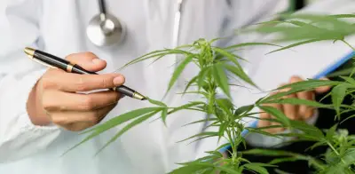 Cannabis recreativo supera primer debate en la Cámara de Representantes