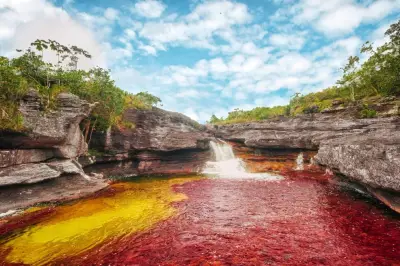 Caño Cristales 2026: fechas, precios y actividades en el río de los siete colores
