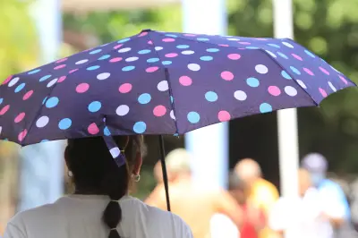 Cartagena tendrá un domingo seco y soleado con altas temperaturas