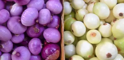 Cebolla morada vs blanca: diferencias, propiedades y beneficios para la salud