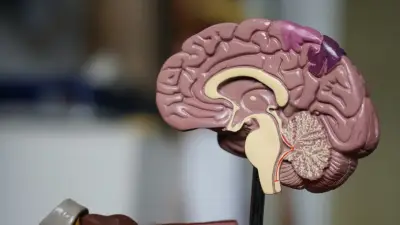 Cómo entender tu cerebro para mejorar salud mental, según experta