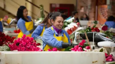 Día de la Madre 2025: floricultura colombiana exporta 59.000 toneladas