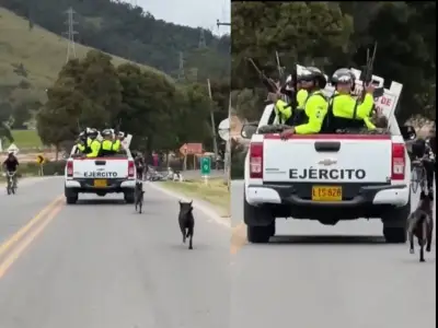 Denuncian que militares abandonaron a dos perros en vía de Bogotá