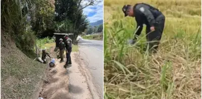 Disidentes de Farc ocultan cinco cilindros explosivos en alcantarilla en Piendamó