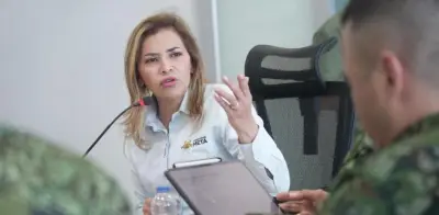 Grupos armados promoverían inscripción de cédulas para elecciones: gobernadora del Meta