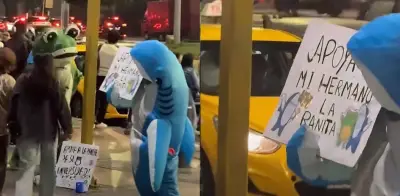 Hermanos disfrazados de rana y tiburón piden dinero para estudiar