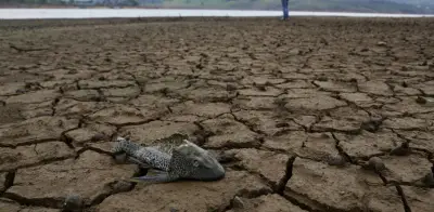 Ideam alerta: sequía severa entre junio y agosto en Colombia