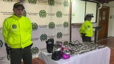 Incautan más de 9 kilos de marihuana y capturan a un hombre en Santander