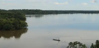 La lucha de los manatíes por sobrevivir en Barrancabermeja