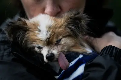 Muere a los 30 años el perro considerado 'el más viejo del mundo'