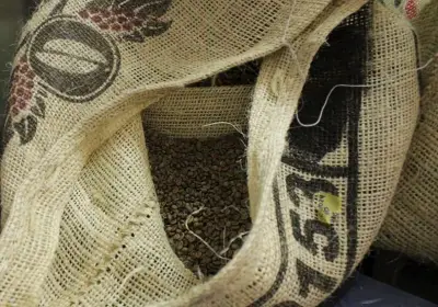 Nueva bodega automatizada para exportación de café en Contecar Cartagena