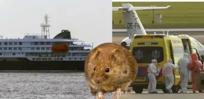 OMS aclara diferencias entre hantavirus y coronavirus, descarta pandemia
