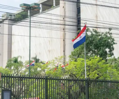 Paraguay destruye 83 toneladas de marihuana en operativo antidrogas