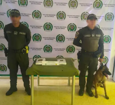 Perro antidrogas 'Killer' detecta marihuana en encomienda en Cartagena