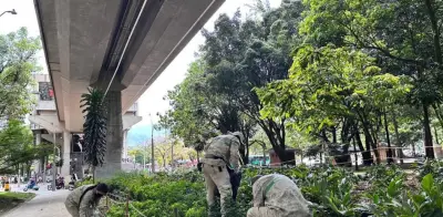 Sistema de riego por gravedad bajo el Metro de Medellín mantiene 10.000 plantas