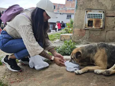 Voluntarios alimentan perros y gatos abandonados en Ciudad Bolívar