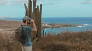 Aruba presenta su nuevo posicionamiento: 'Cuando Amas Aruba – Aruba Te Ama'