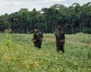 Avances y retos de las Zonas de Ubicación Temporal en la paz total