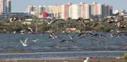 Barranquilla entre el río y el mar: turismo, memoria y sabor caribeño