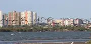 Barranquilla se une al Global Big Day 2026 con 171 especies de aves