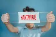 Brote de hantavirus en crucero: alerta por variante más peligrosa