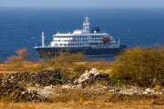 Brote de hantavirus en crucero: lecciones para el turismo global