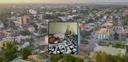 Buscan a responsables de quemar con químicos a un perrito en Soledad