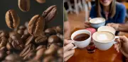 Café descafeinado también mejora el estado de ánimo, según estudio
