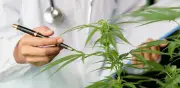 Cannabis recreativo supera primer debate en la Cámara de Representantes