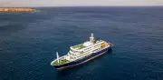 Cepa Andes de hantavirus: letalidad del 30% y transmisión entre humanos en crucero