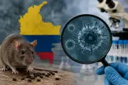 Colombia descarta casos de hantavirus y refuerza vigilancia tras alerta global