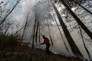 Colombia se prepara para el Fenómeno de El Niño con medidas contra la sequía