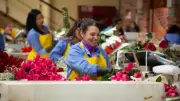 Día de la Madre 2025: floricultura colombiana exporta 59.000 toneladas