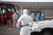 Desembarco de 153 pasajeros del crucero MV Hondius en Tenerife