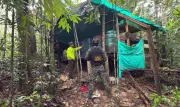 Destruyen laboratorio de coca en Betulia, Santander: producía 200 kilos al mes