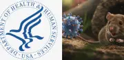 EE.UU. confirma primer caso positivo de hantavirus en crucero MV Hondius