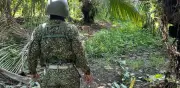 Ejército contactó a 66 soldados perdidos en selvas del Guaviare