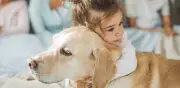 El excesivo entusiasmo de su perro al llegar a casa podría ser ansiedad, no felicidad
