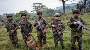 Equipo de explosivos y perros antiexplosivos protegen a campesinos en Boyacá