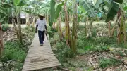 Estado colombiano responde a CIDH tras 23 años de disputa por tierras en Turbo