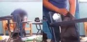 Estudiantes graban a profesor de Ética robando sus mochilas en México