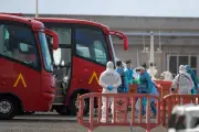 Evacúan crucero con brote de hantavirus en Canarias: así será el operativo
