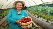 Feria de emprendimientos campesinos en Bucaramanga: aliados de la conservación