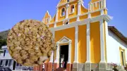 Fríjol liborino: el orgullo agrícola de Antioquia que conquista paladares