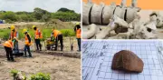 Hallan esqueleto precolombino bajo pista del aeropuerto de Tolú, Sucre
