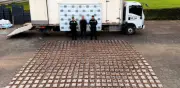 Incautan 587 kilos de cocaína en Caldas y golpean red del ‘clan del Golfo’